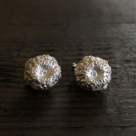 Acorn silver stud earrings